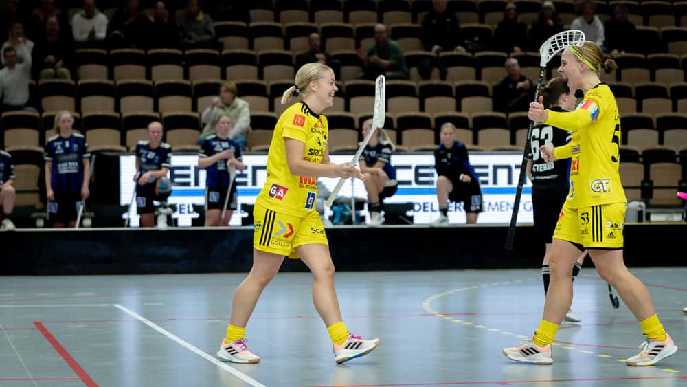 Matchsituation Endre IF innebandy