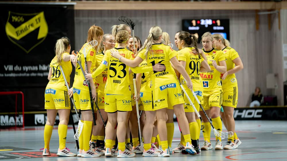 Matchsituation Endre IF innebandy