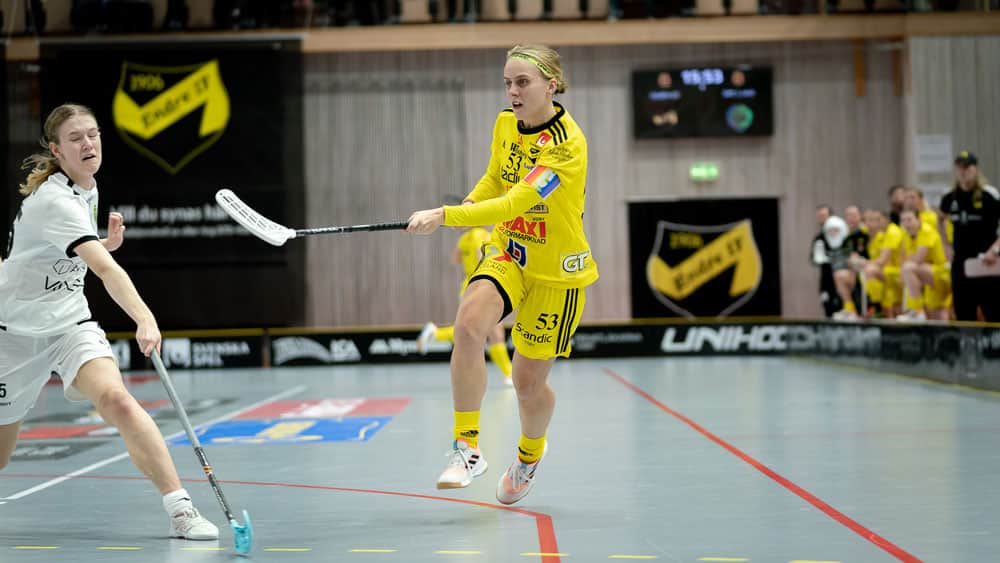 Matchsituation Endre IF innebandy
